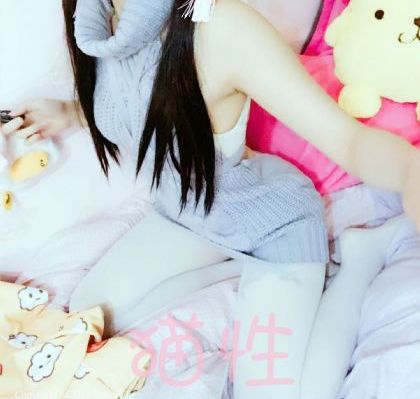 柳舟记张晚意电视剧免费观看